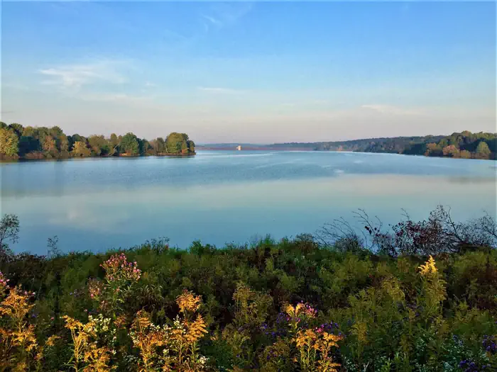 Woodcock Lake Park photo 4