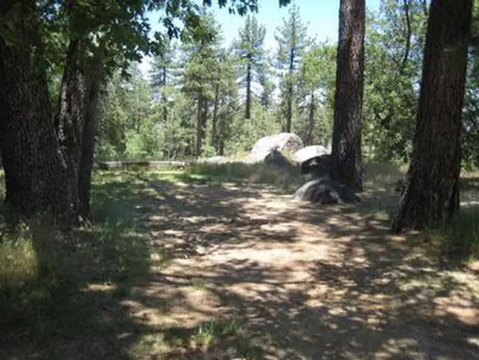 WOODED HILL GROUP photo 3