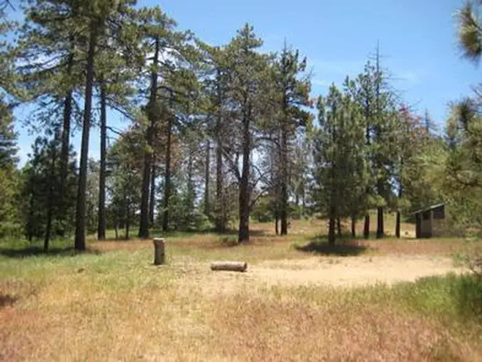 WOODED HILL GROUP photo 5