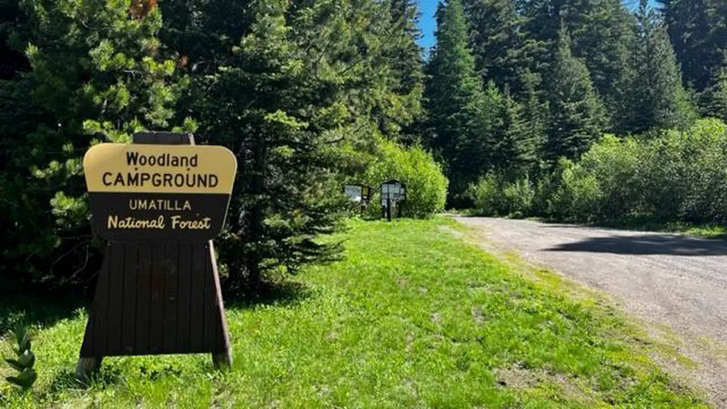 Woodland Campground photo