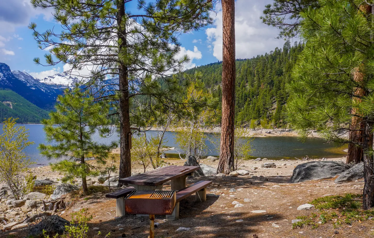 WOODS CABIN photo