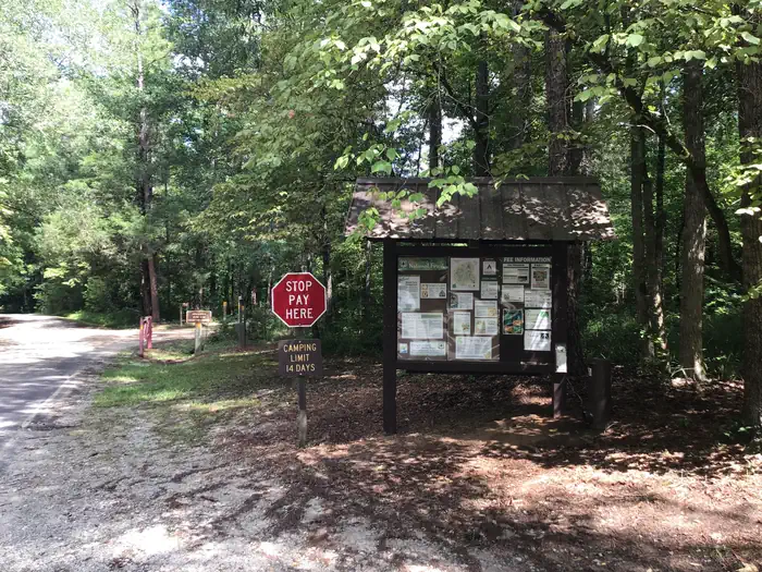 Woods Ferry Campground (SC) photo