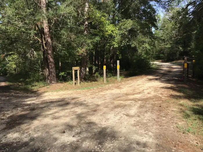 Woods Ferry Campground (SC) photo 2