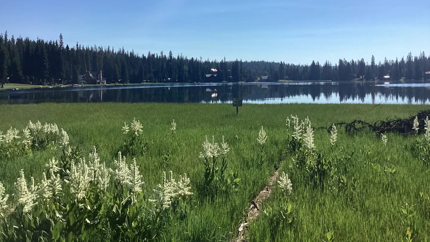 Woodward Campground photo