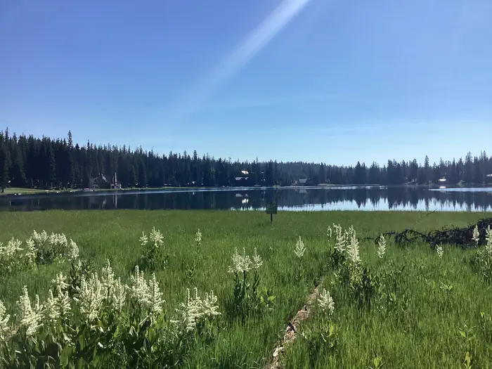 Woodward Campground photo 3