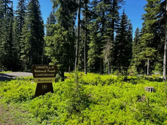 Woodward Campground photo 4