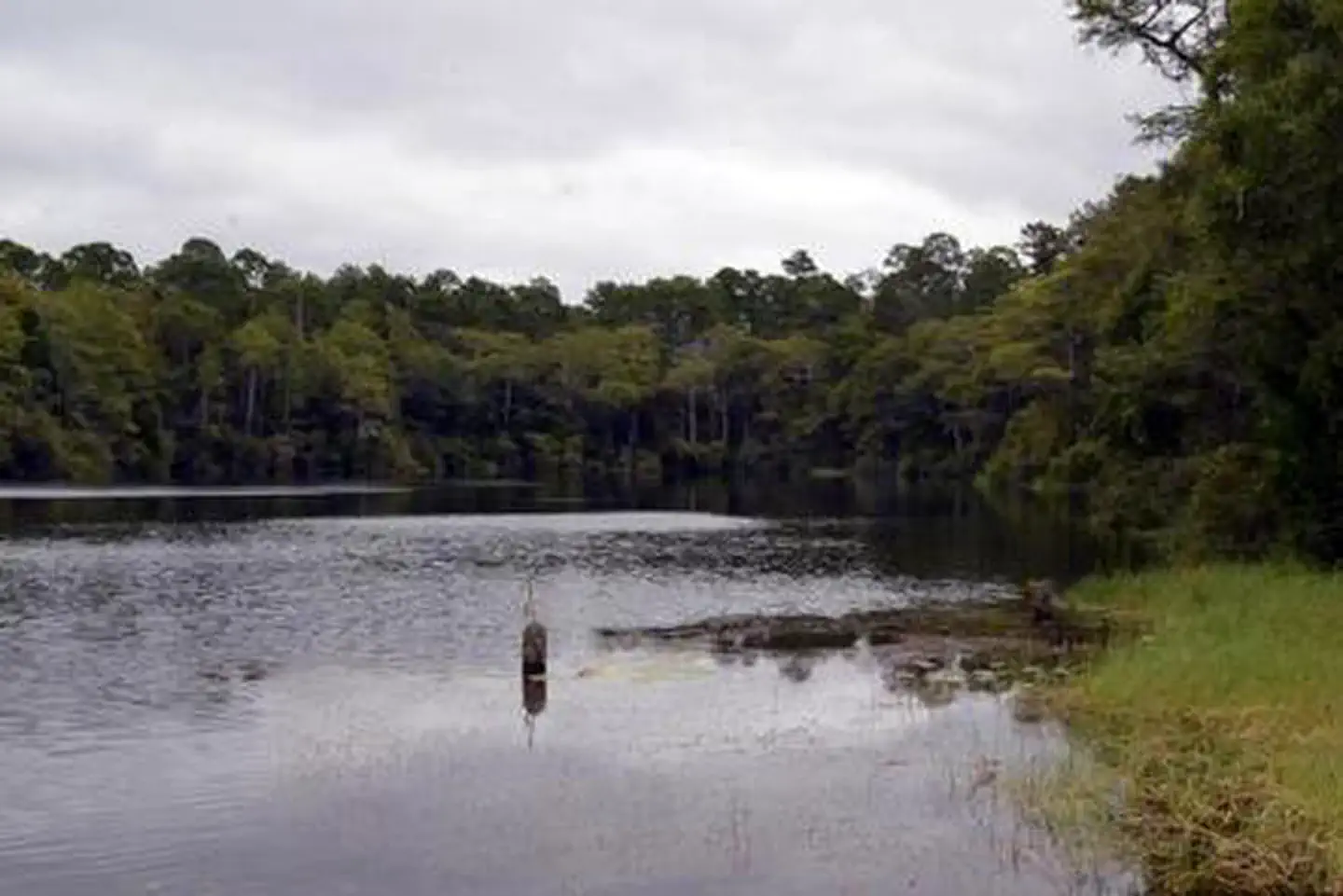 WRIGHT LAKE CAMPGROUND photo 2