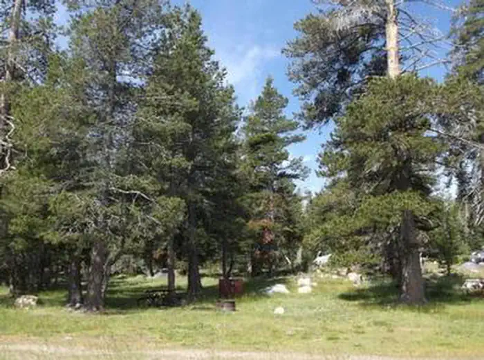 WRIGHTS LAKE EQUESTRIAN CAMPGROUND photo 3