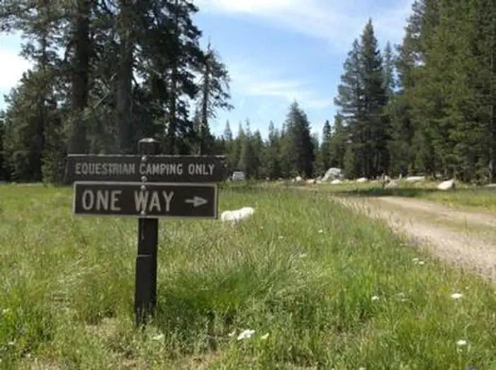 WRIGHTS LAKE EQUESTRIAN CAMPGROUND photo 4
