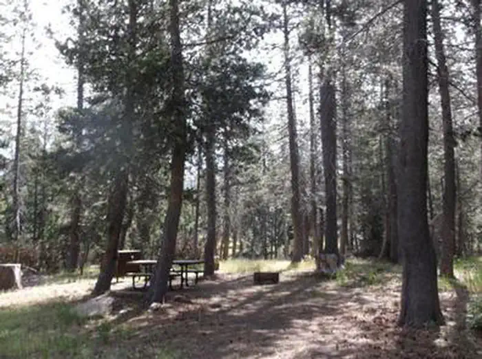 WRIGHTS LAKE EQUESTRIAN CAMPGROUND photo 5