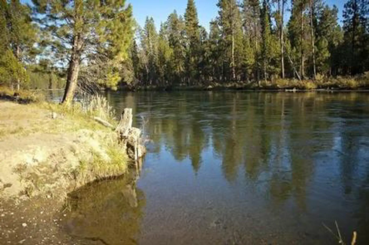 WYETH CAMPGROUND - DESCHUTES photo 3