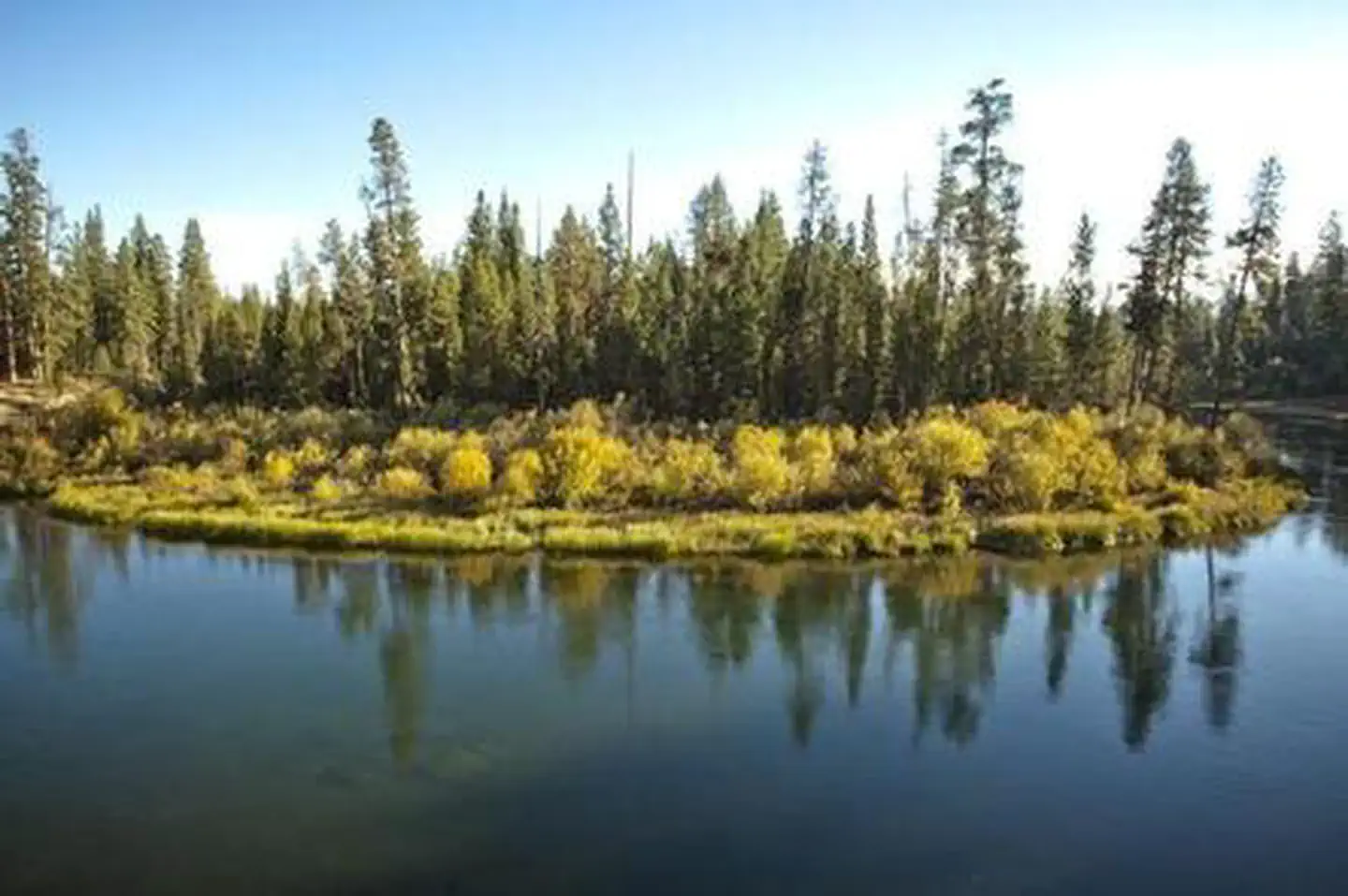 WYETH CAMPGROUND - DESCHUTES photo 4