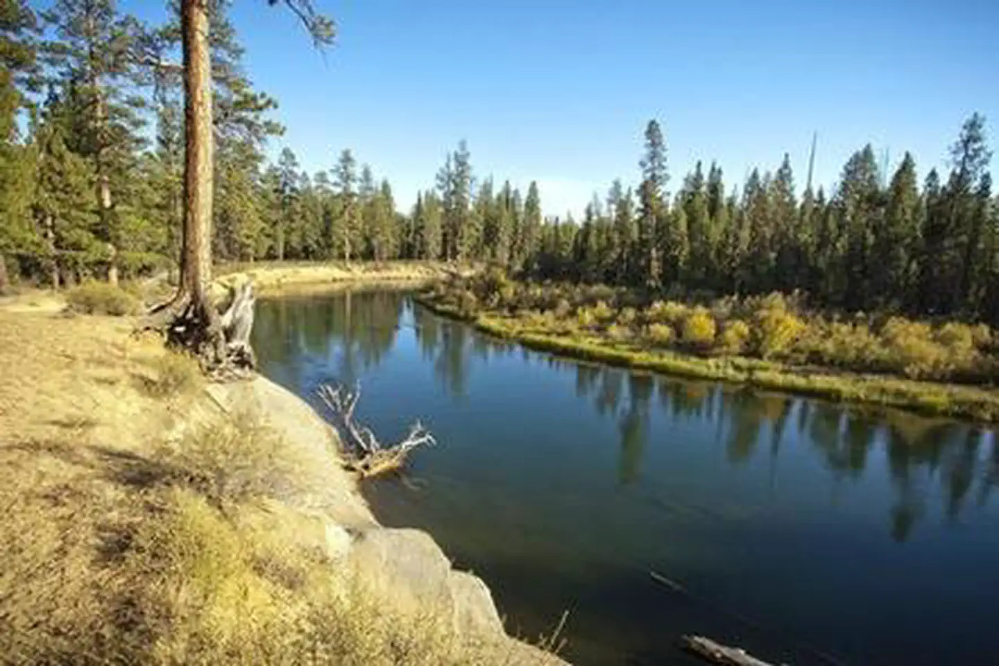 WYETH CAMPGROUND - DESCHUTES photo 5