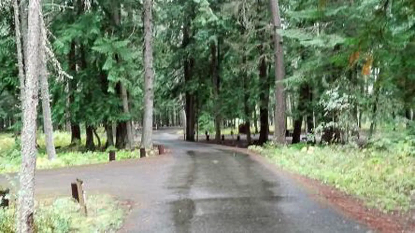Yaak River Campground (MT) photo