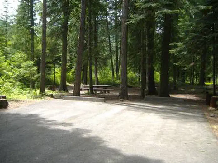 Yaak River Campground (MT) photo 2