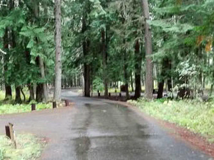 Yaak River Campground (MT) photo 3