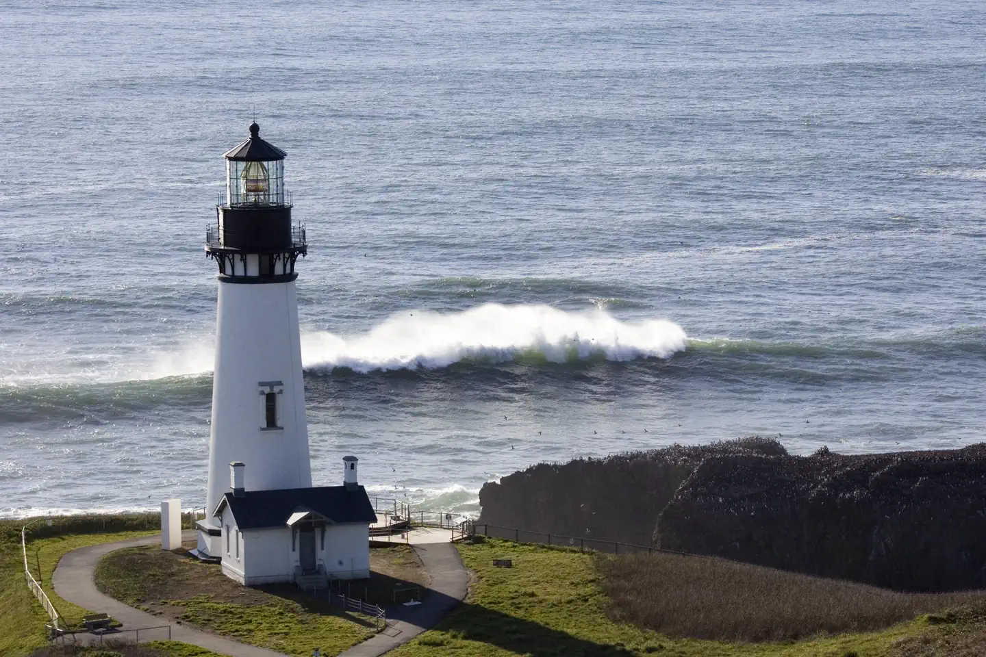 Yaquina Head Lighthouse Tours photo 3