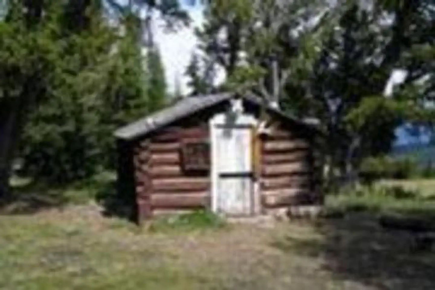 YELLOW MULE CABIN photo 2