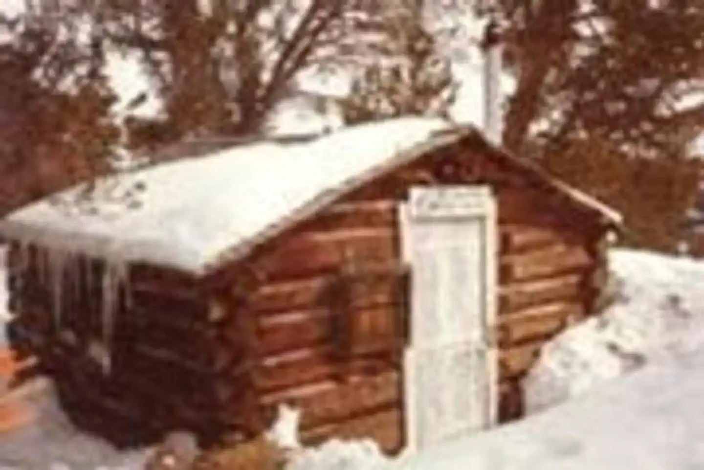 YELLOW MULE CABIN photo 3