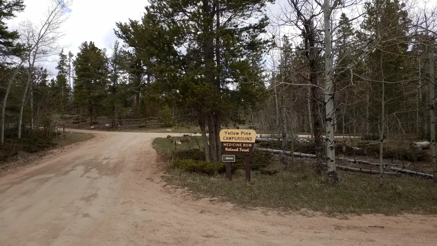 Yellow Pine Campground (WY) photo