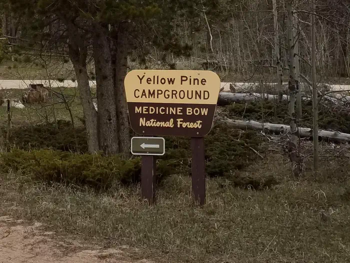 Yellow Pine Campground (WY) photo 4