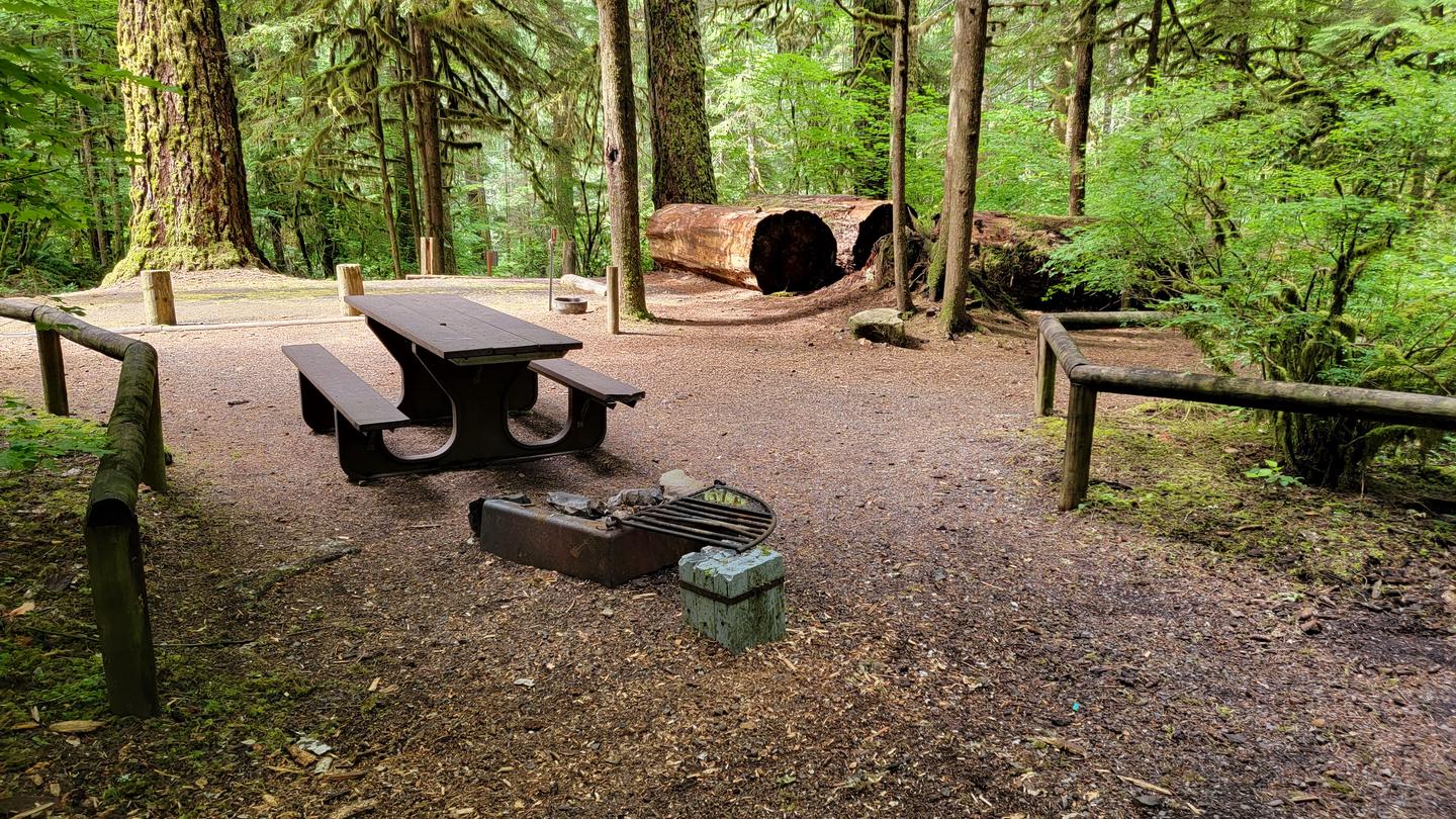 Yellowbottom Recreation Site photo 2