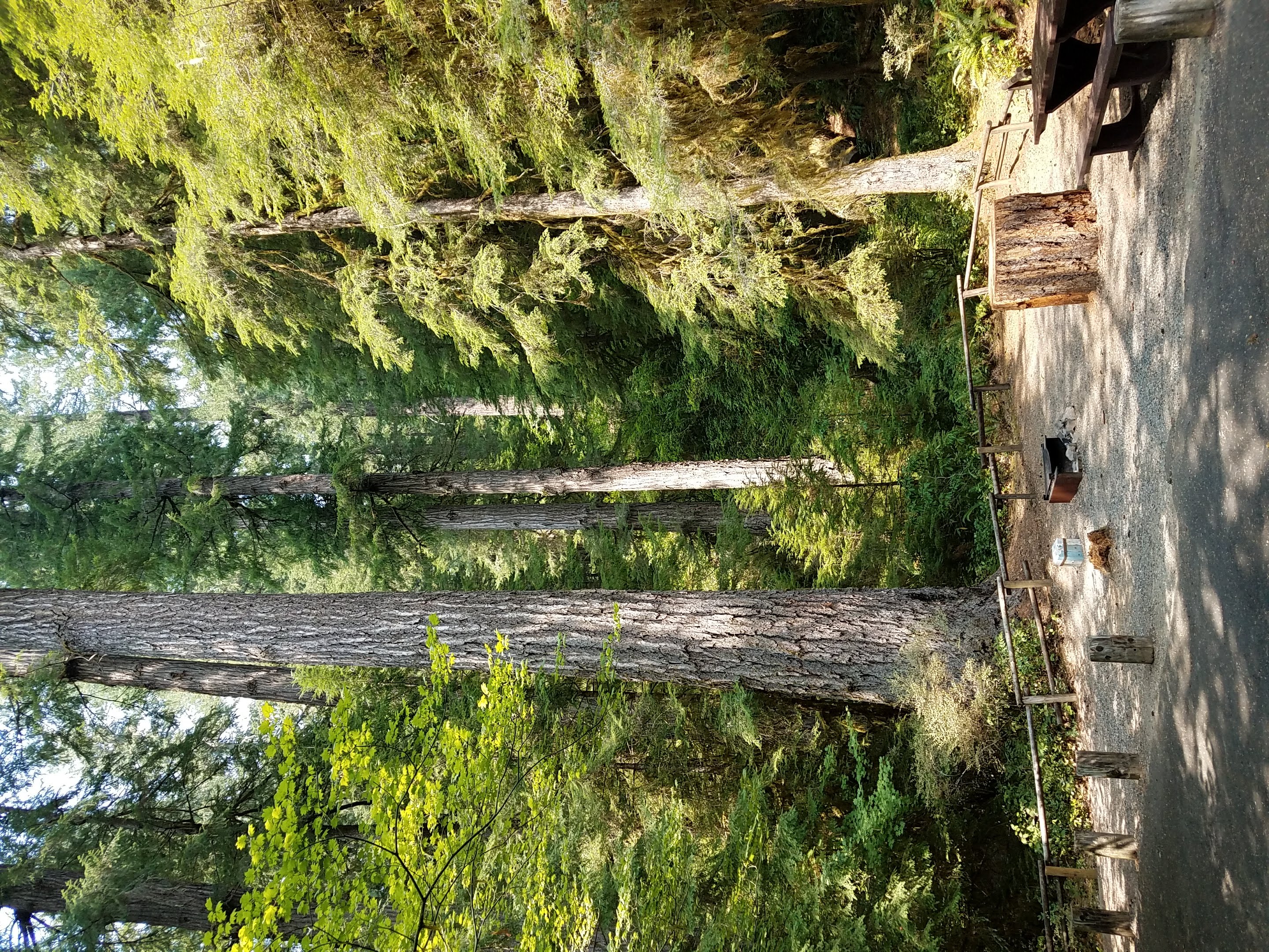 Yellowbottom Recreation Site photo 4