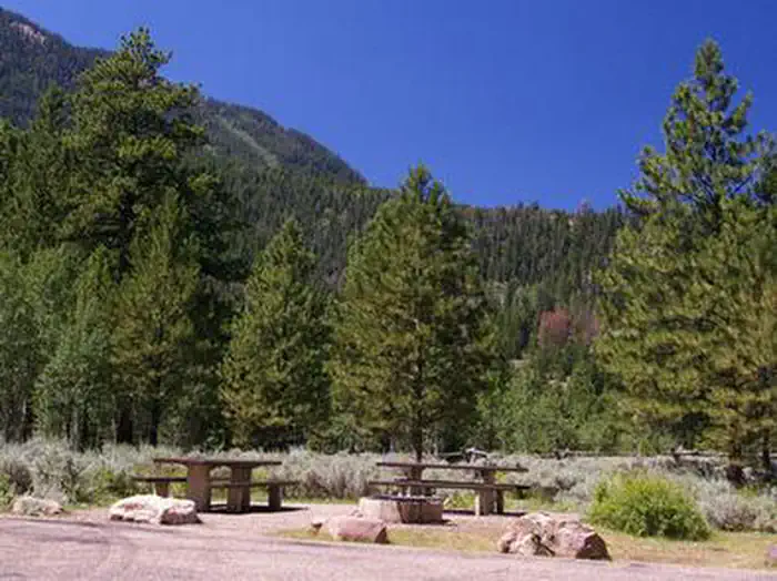 YELLOWPINE photo 4