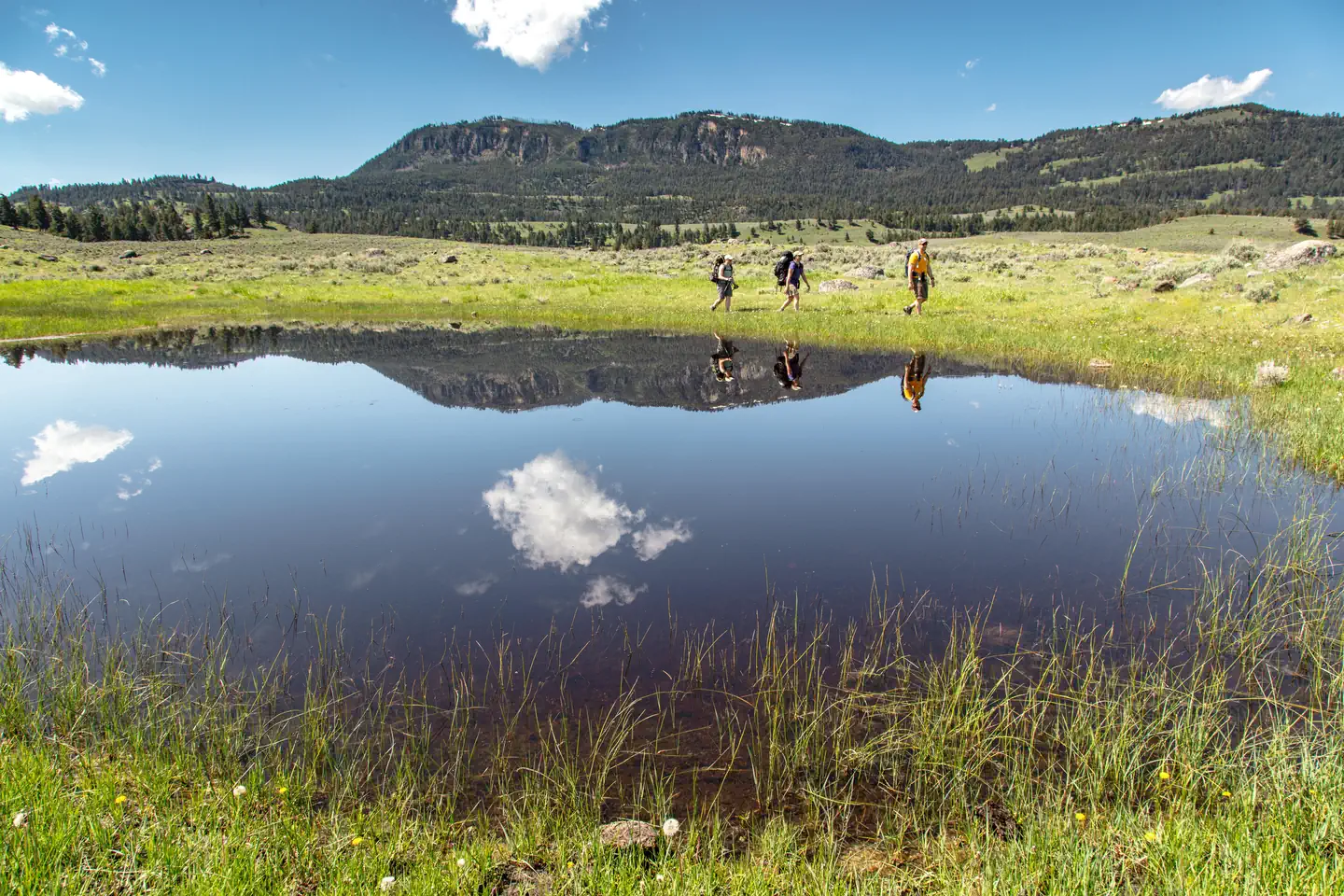 Yellowstone National Park Backcountry Permits photo 3