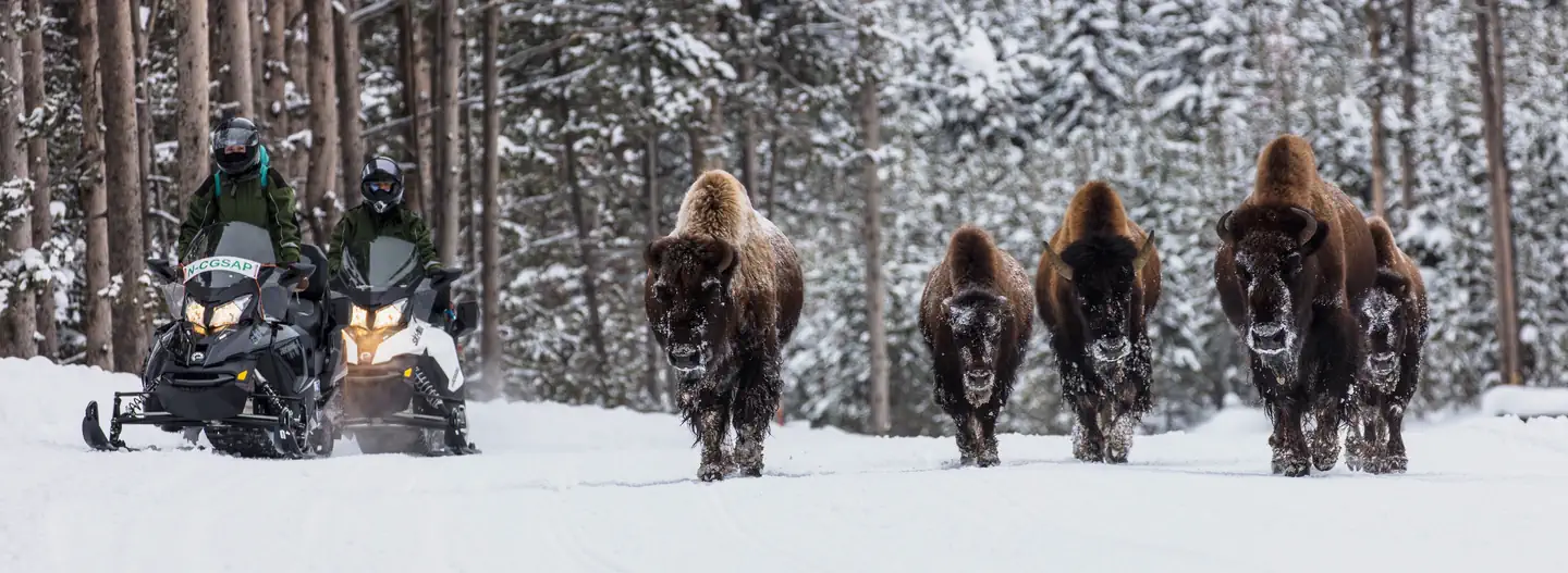 Yellowstone Non-Commercially Guided Snowmobile Access Program photo