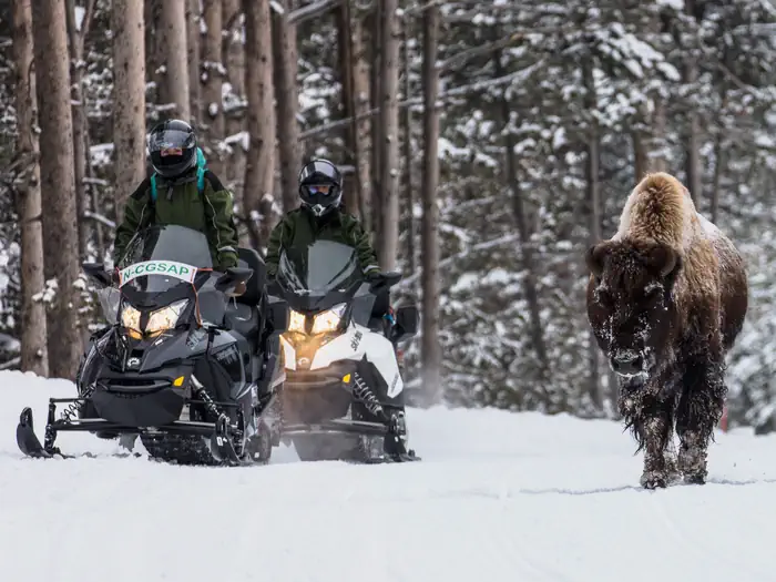 Yellowstone Non-Commercially Guided Snowmobile Access Program photo 5