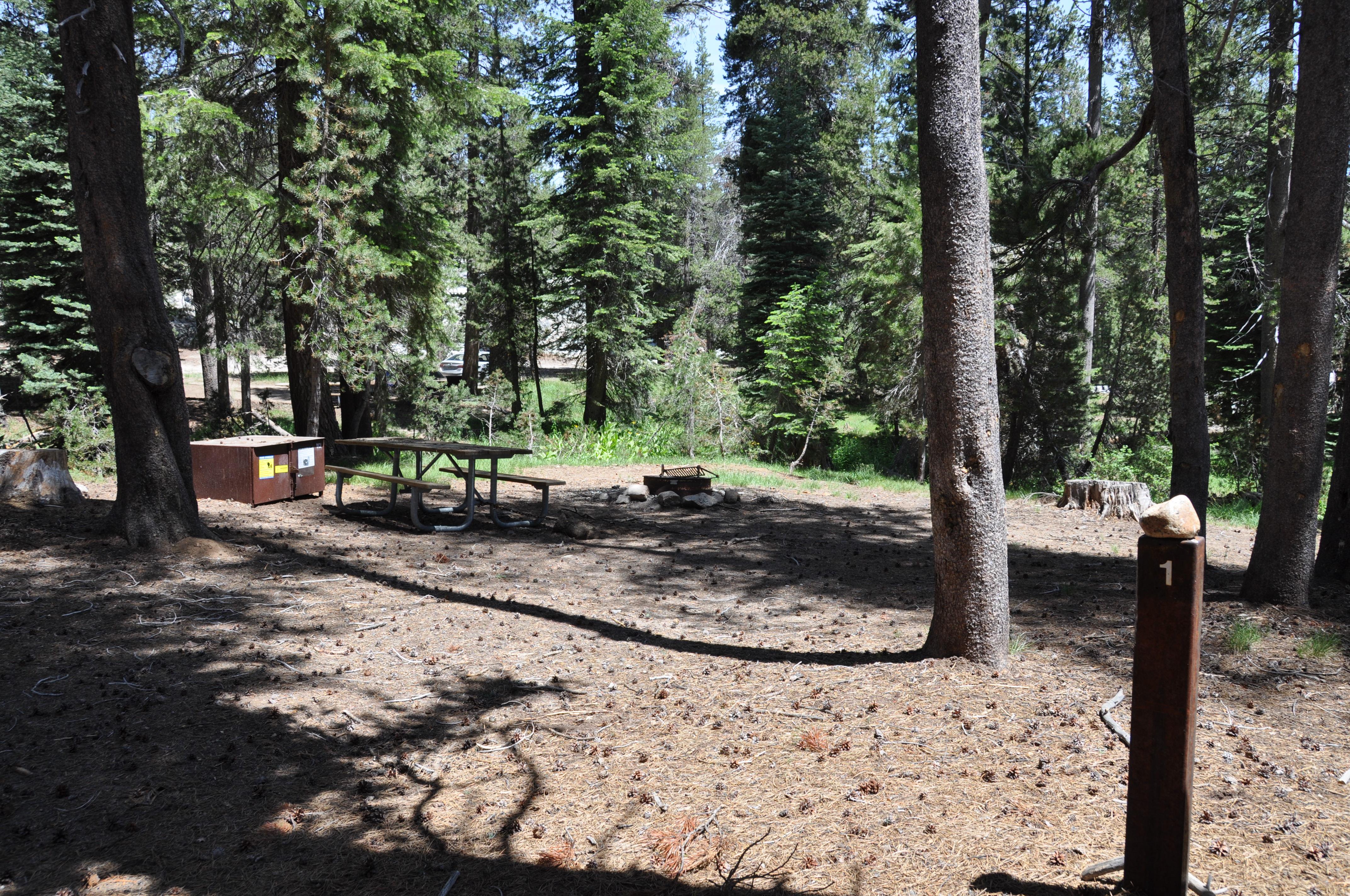 Yosemite Creek Campground photo