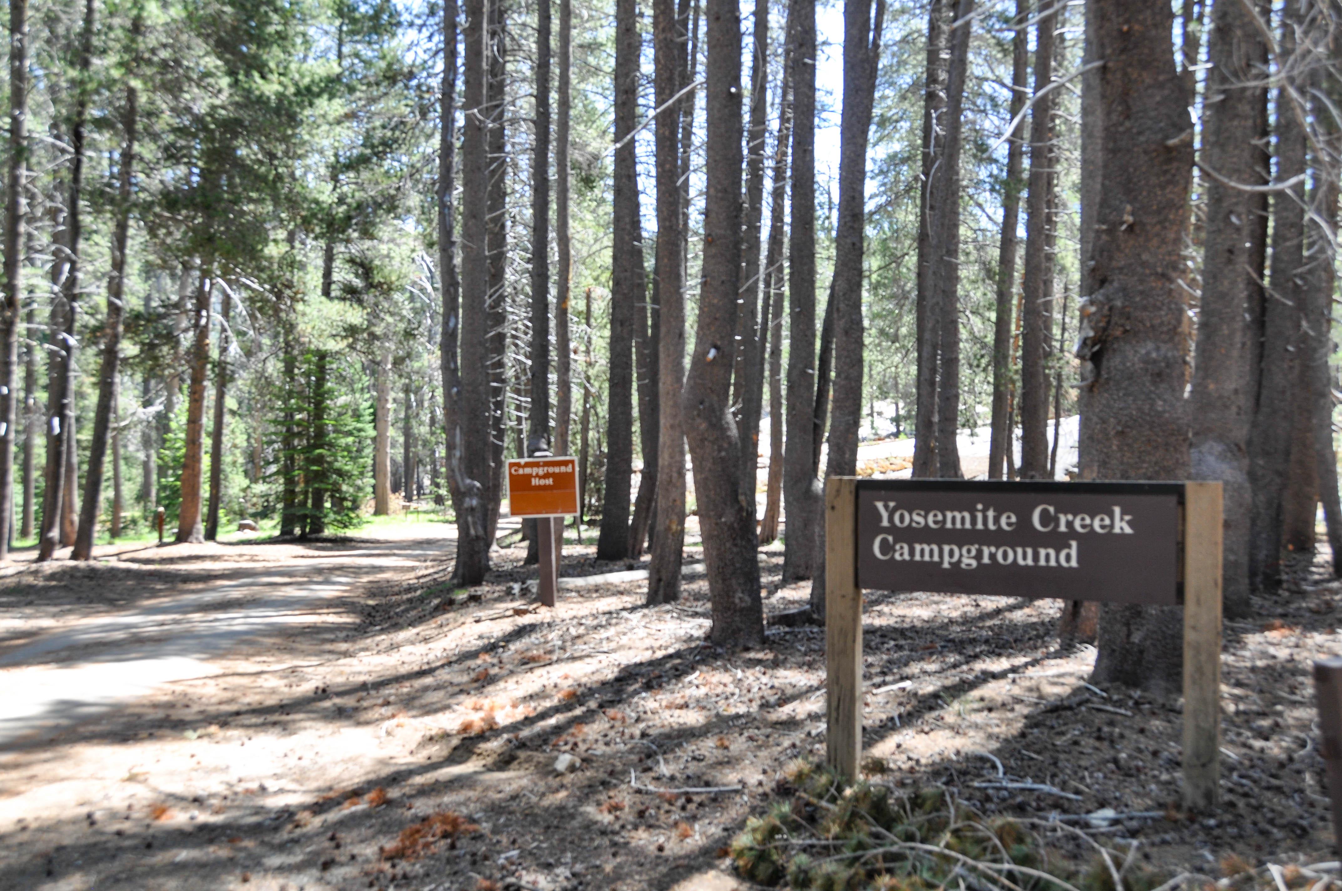 Yosemite Creek Campground photo 2