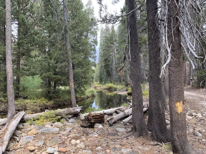 Yosemite Creek Campground photo 3