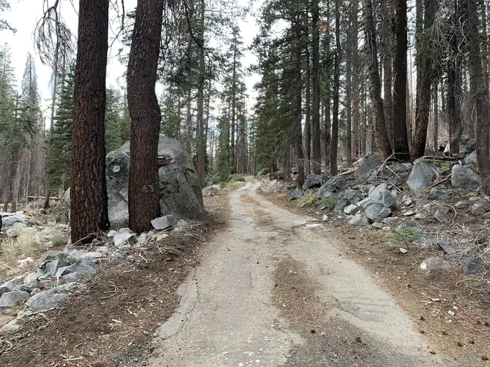 Yosemite Creek Campground photo 4