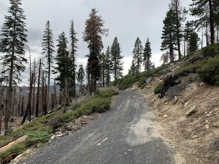 Yosemite Creek Campground photo 5