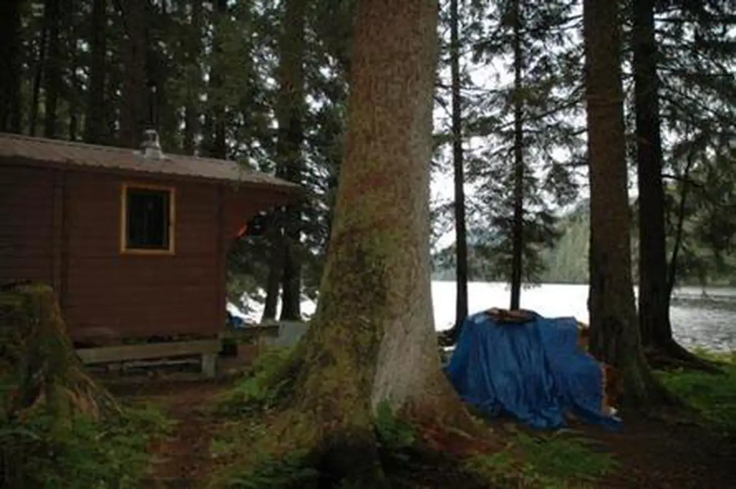 YOUNG LAKE (NORTH) CABIN photo 3