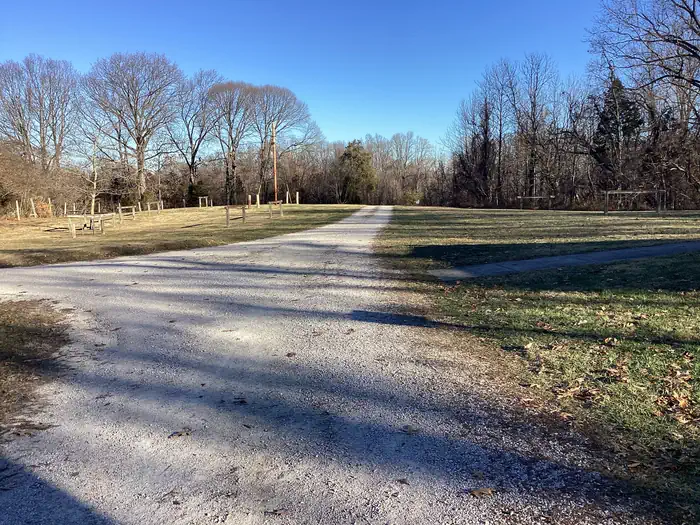 Youngs Creek Campground photo