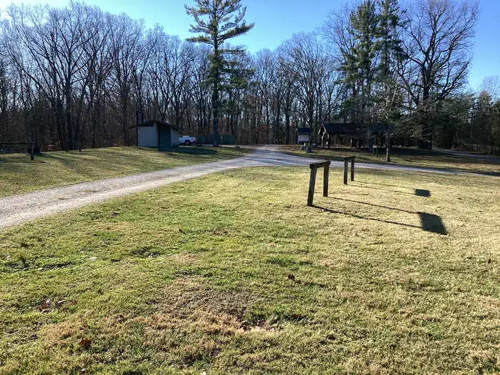 Youngs Creek Campground photo 3