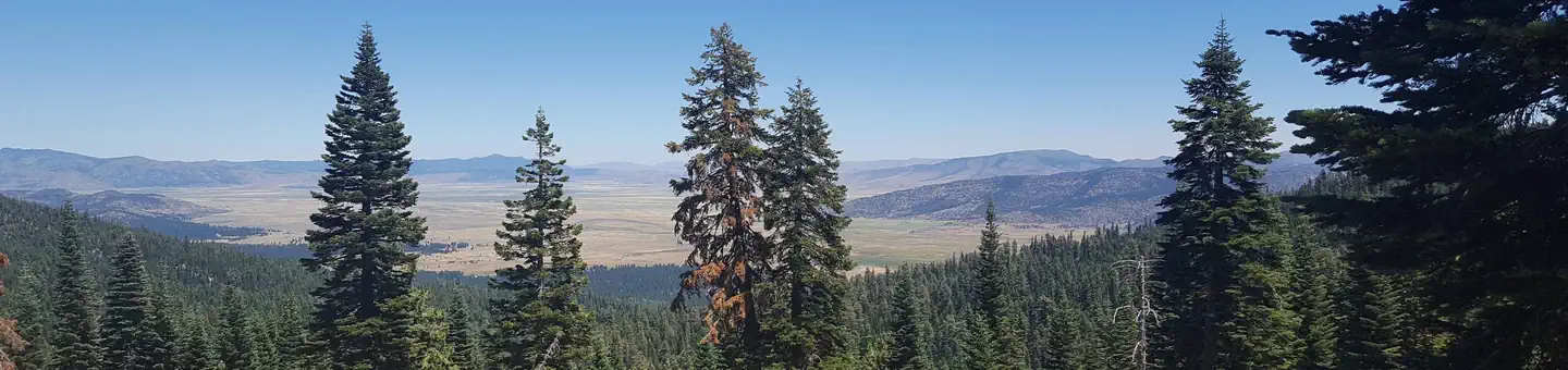 YUBA PASS CAMPGROUND photo