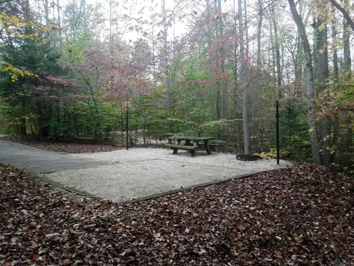 ZILPO - DANIEL BOONE NAT. FOR. photo 4