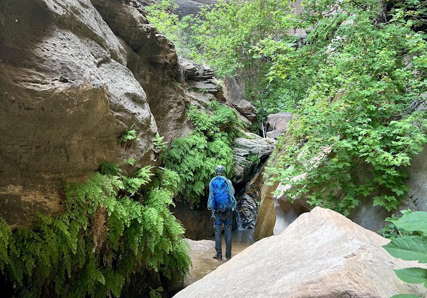 Zion Mystery Canyon Seasonal Lottery photo 4