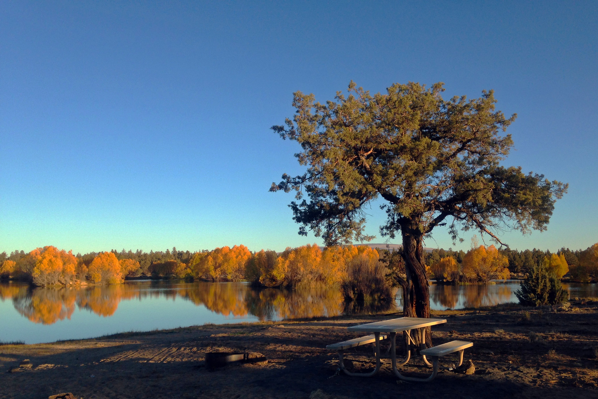 Reynolds Pond Recreation Site photo 2