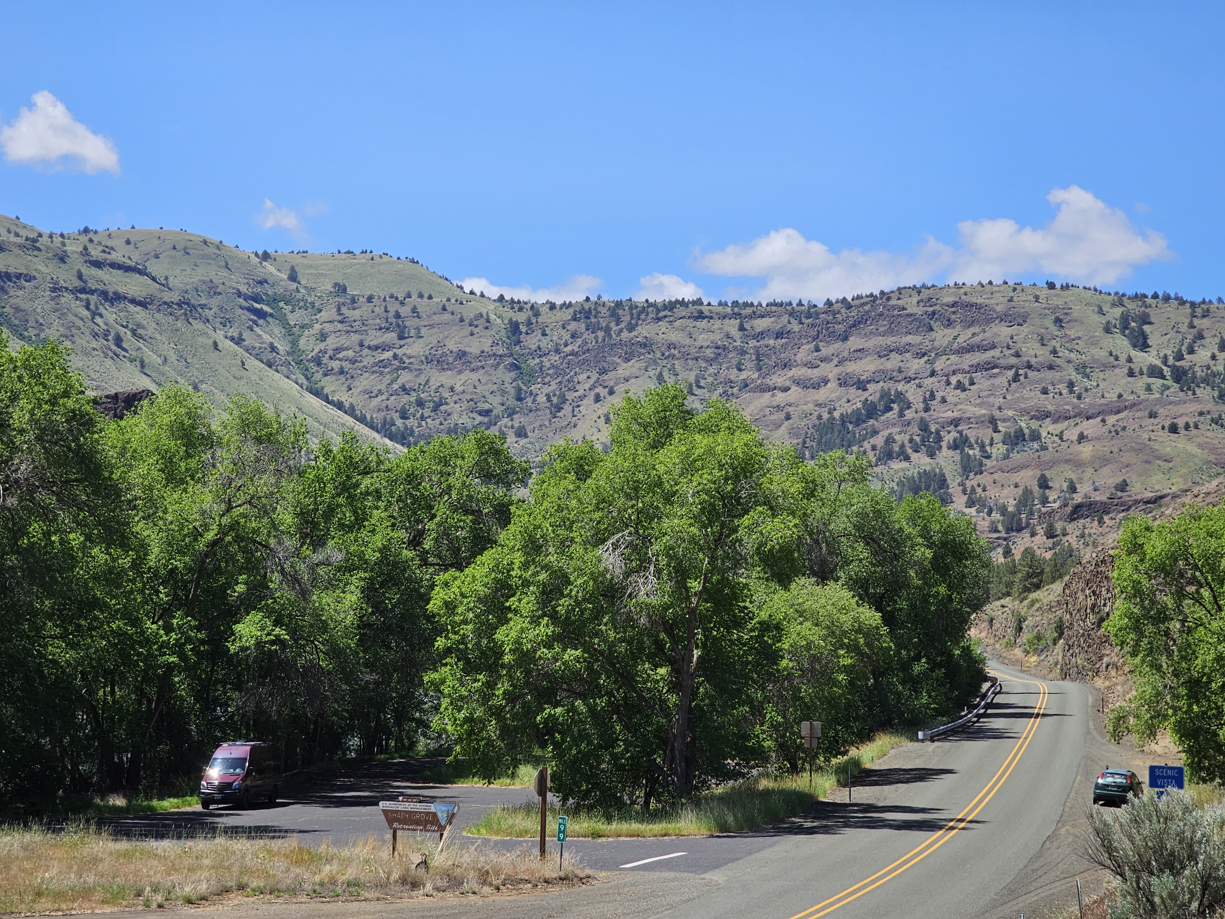 Shady Grove Picnic Area photo