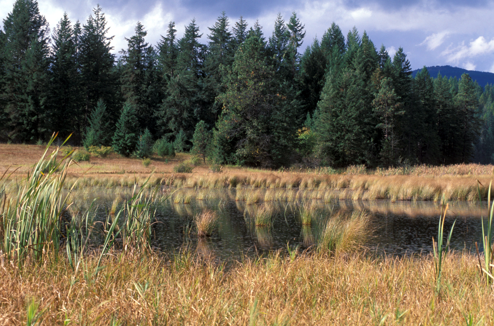 Gamlin Lake photo