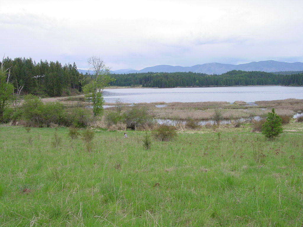 Gamlin Lake photo 2