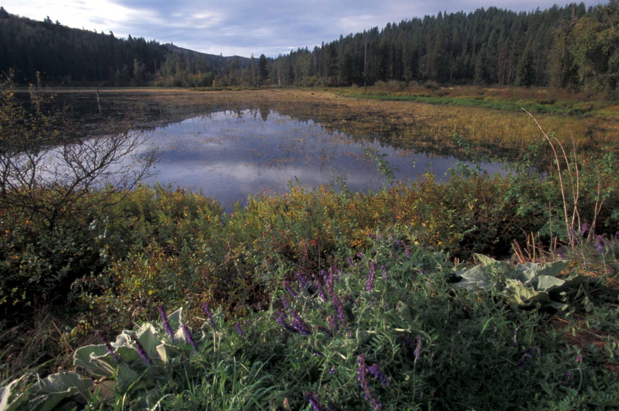 Gamlin Lake photo 3