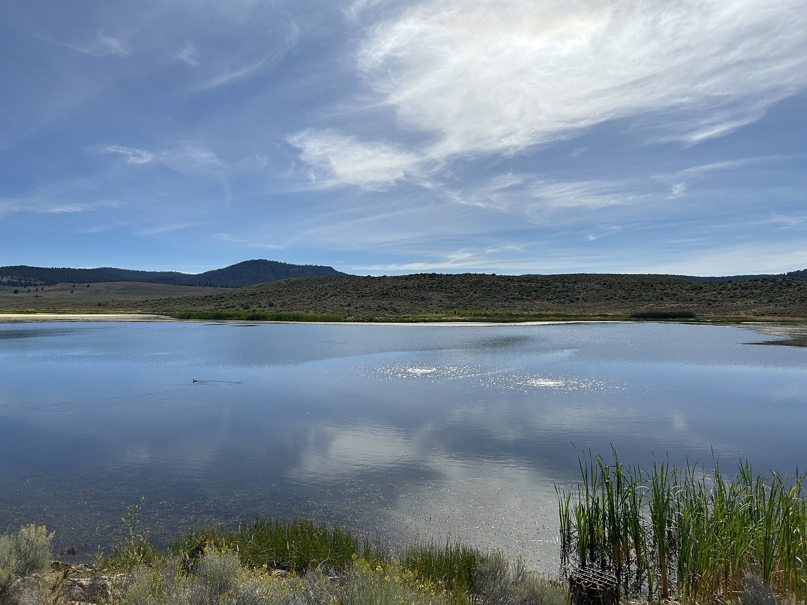 Poison Creek Recreation Site photo