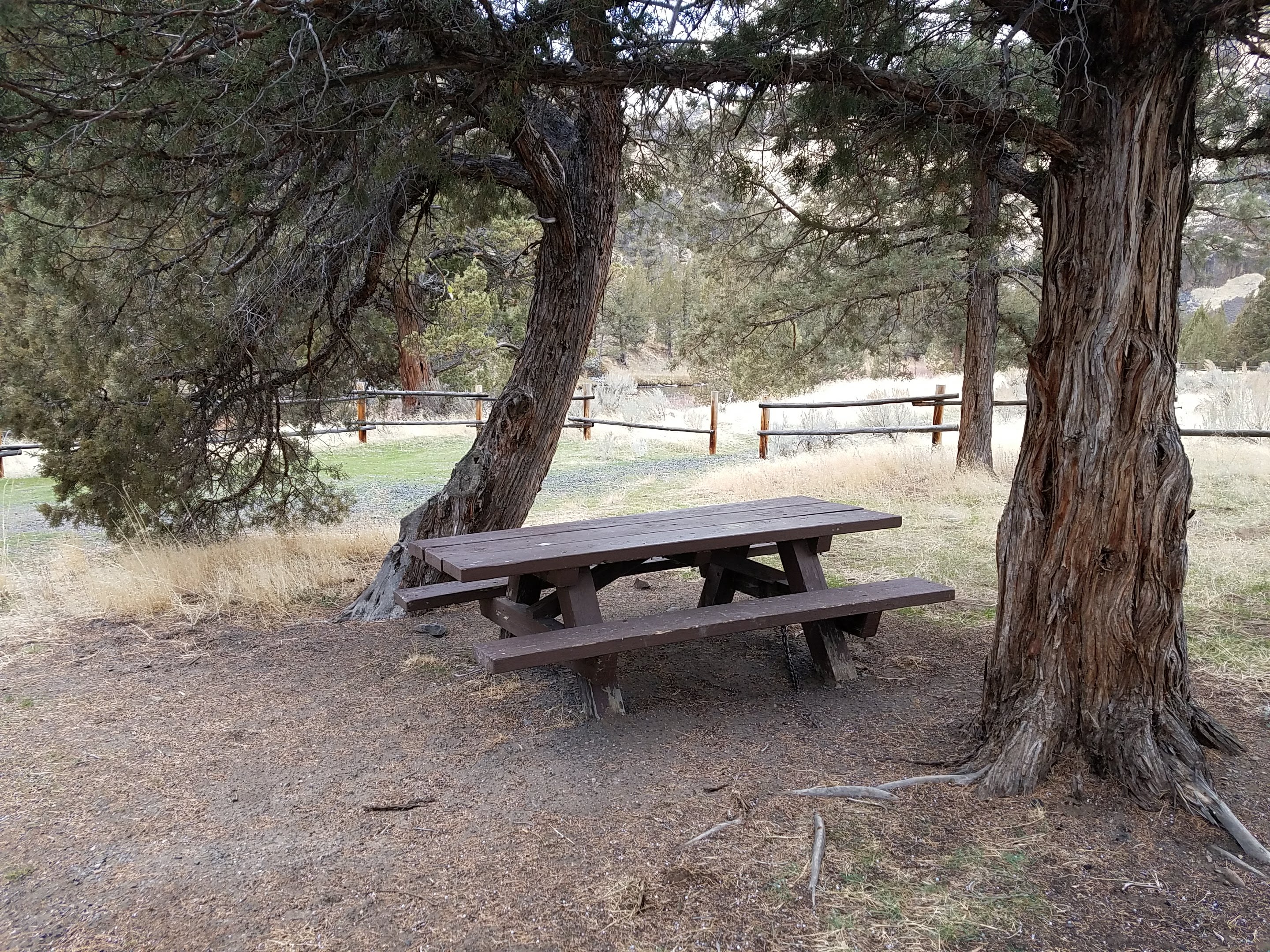 Upper Lone Pine Day-Use Area photo 2