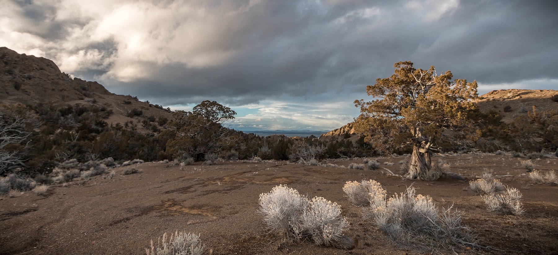 Black Hills Area of Critical Environmental Concern photo